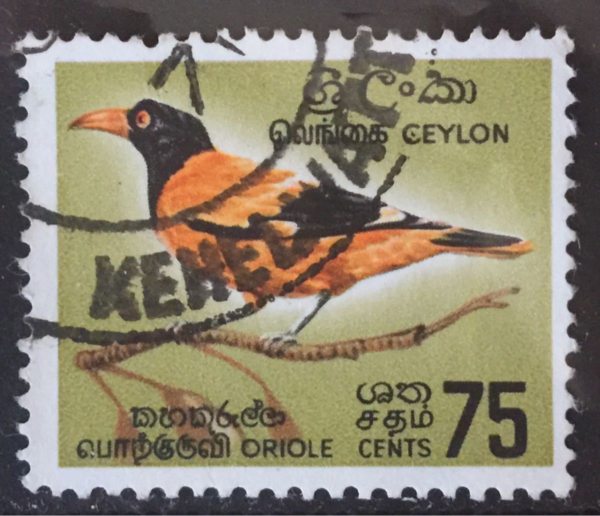 セイロン切手★コウライウグイスBlack-hooded Oriole (Oriolus xanthornus ssp. ceylonensis)1975年_画像1