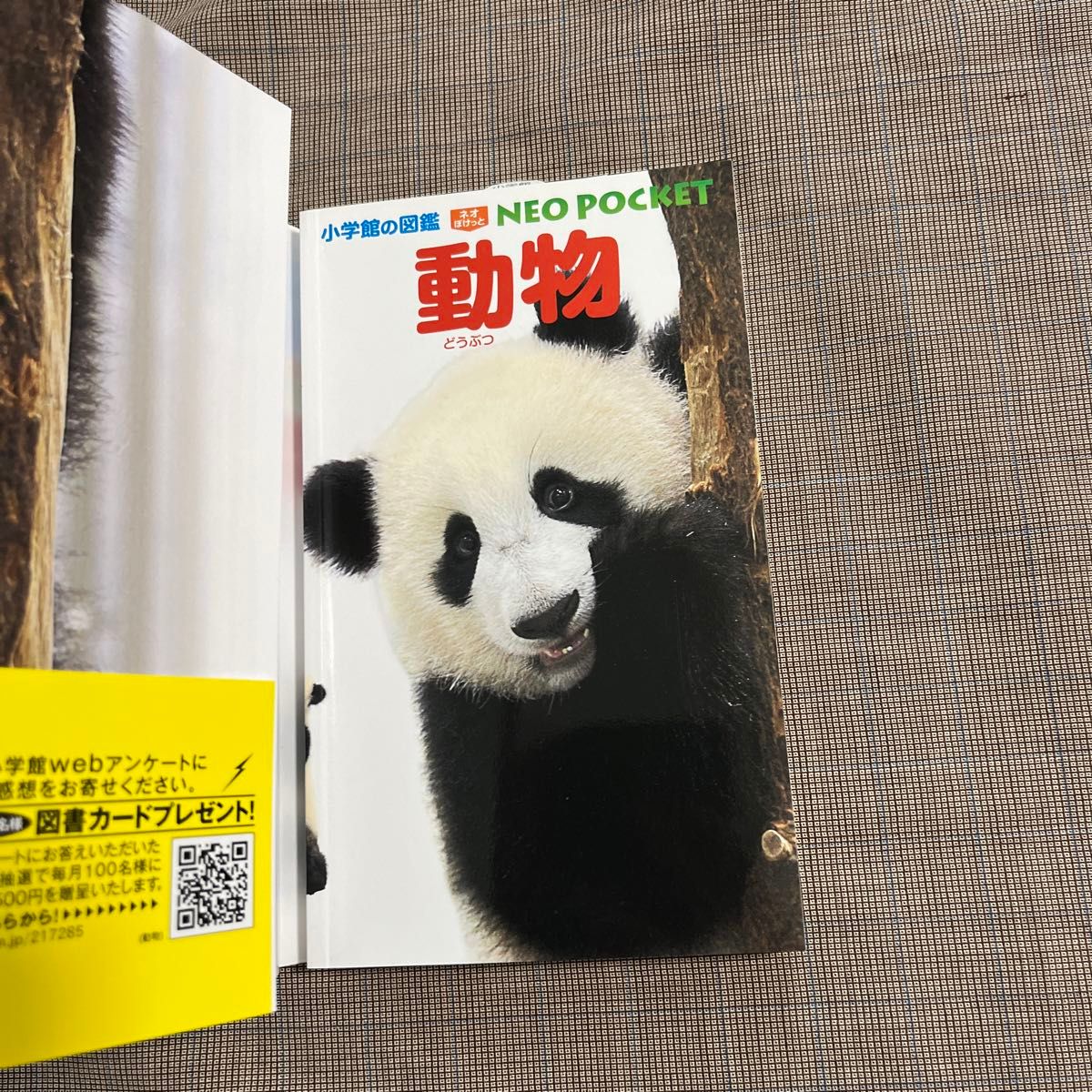 新品 小学館の図鑑 NEO POCKET 動物 ネオポケット|Yahoo!フリマ 新品 小学館の図鑑 NEO POCKET 動物 ネオポケット|Yahoo!フリマ