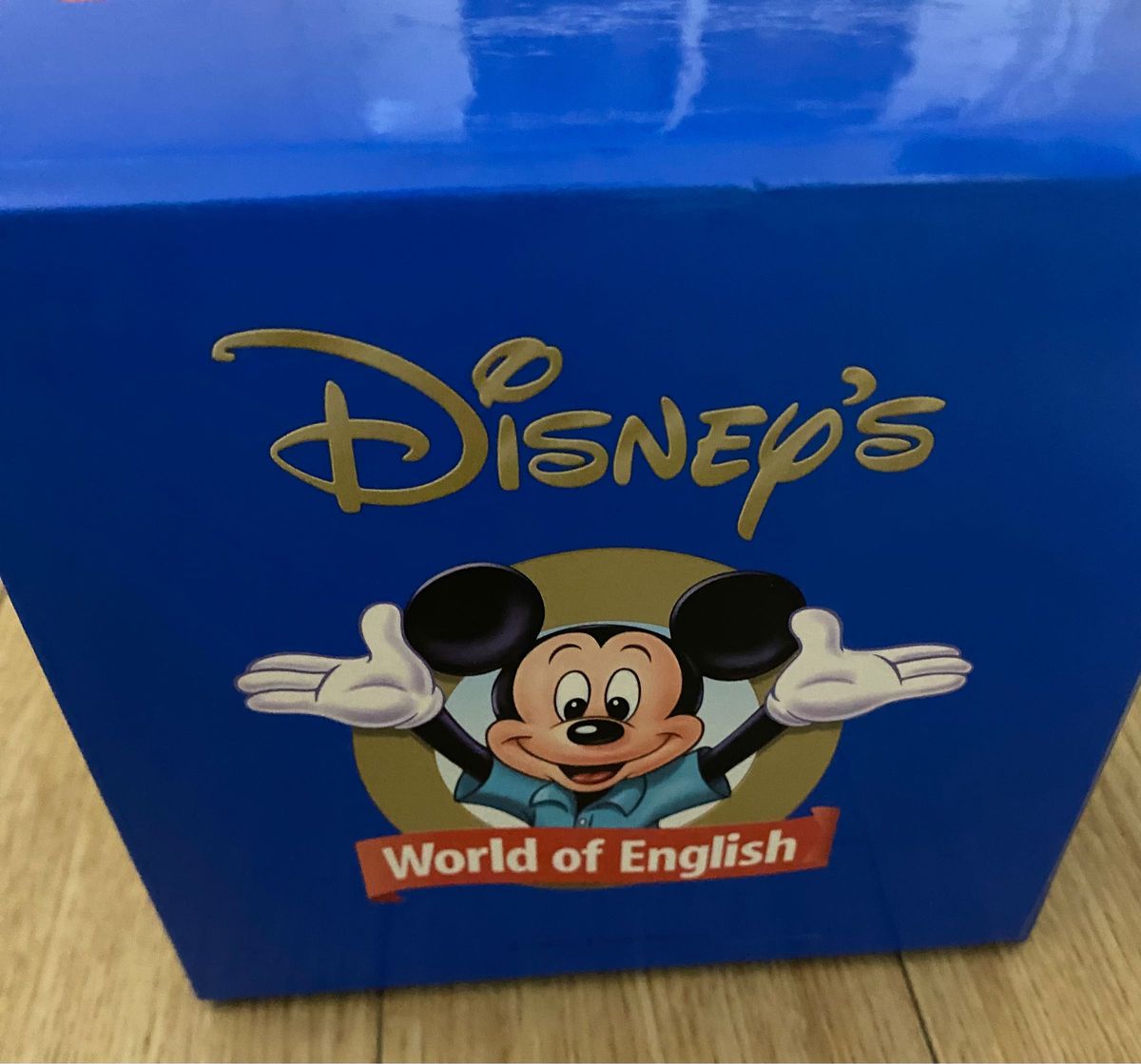 ディズニー World of English Sing Along!DVD CD 冊子 シングアロング ディズニー英語システム ディズニー World of English Sing Along!DVD CD 冊子 シングアロング ディズニー英語システム