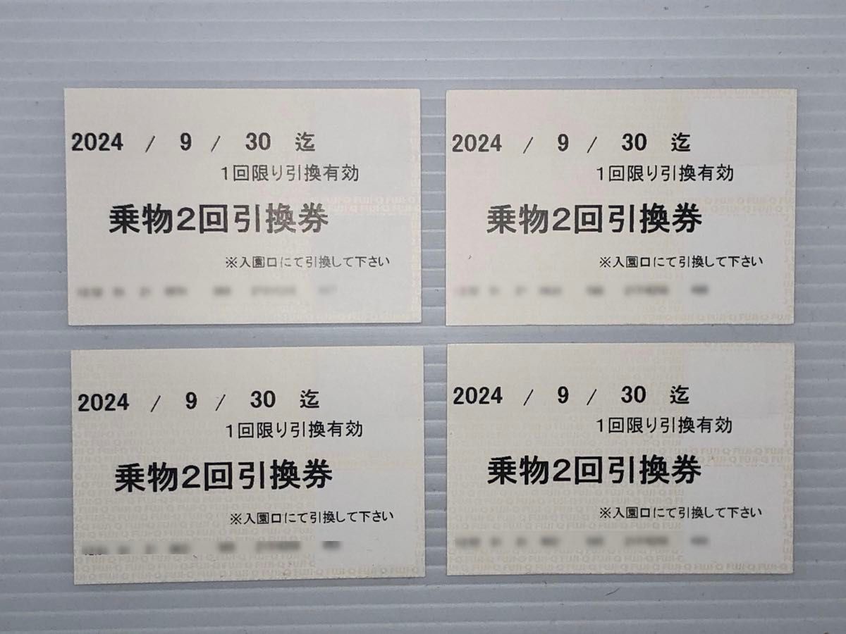 家族・グループ向 富士急ハイランド乗り物2回引換券×4枚 家族・グループ向 富士急ハイランド乗り物2回引換券×4枚