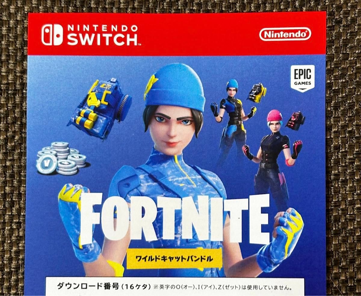 未使用品 Nintendo Switch FORTNITE フォートナイト Special 未使用品 Nintendo Switch FORTNITE フォートナイト Special