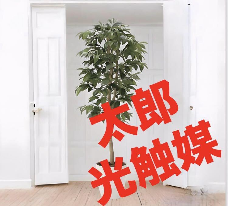 6732円 ヘレンド アポニーグリーン ボンボン入れ 小筐 卵形 6732円 ヘレンド アポニーグリーン ボンボン入れ 小筐 卵形