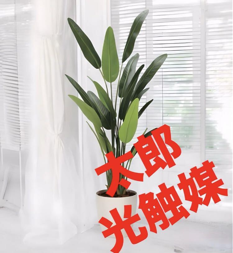 光触媒 人工観葉植物 フェイクグリーンフレッシュトラベラーズ 光触媒 人工観葉植物 フェイクグリーンフレッシュトラベラーズ