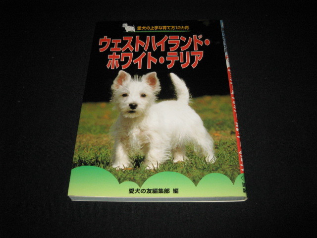  waste to Highland * white * terrier love dog. skillful ... person 12 months 