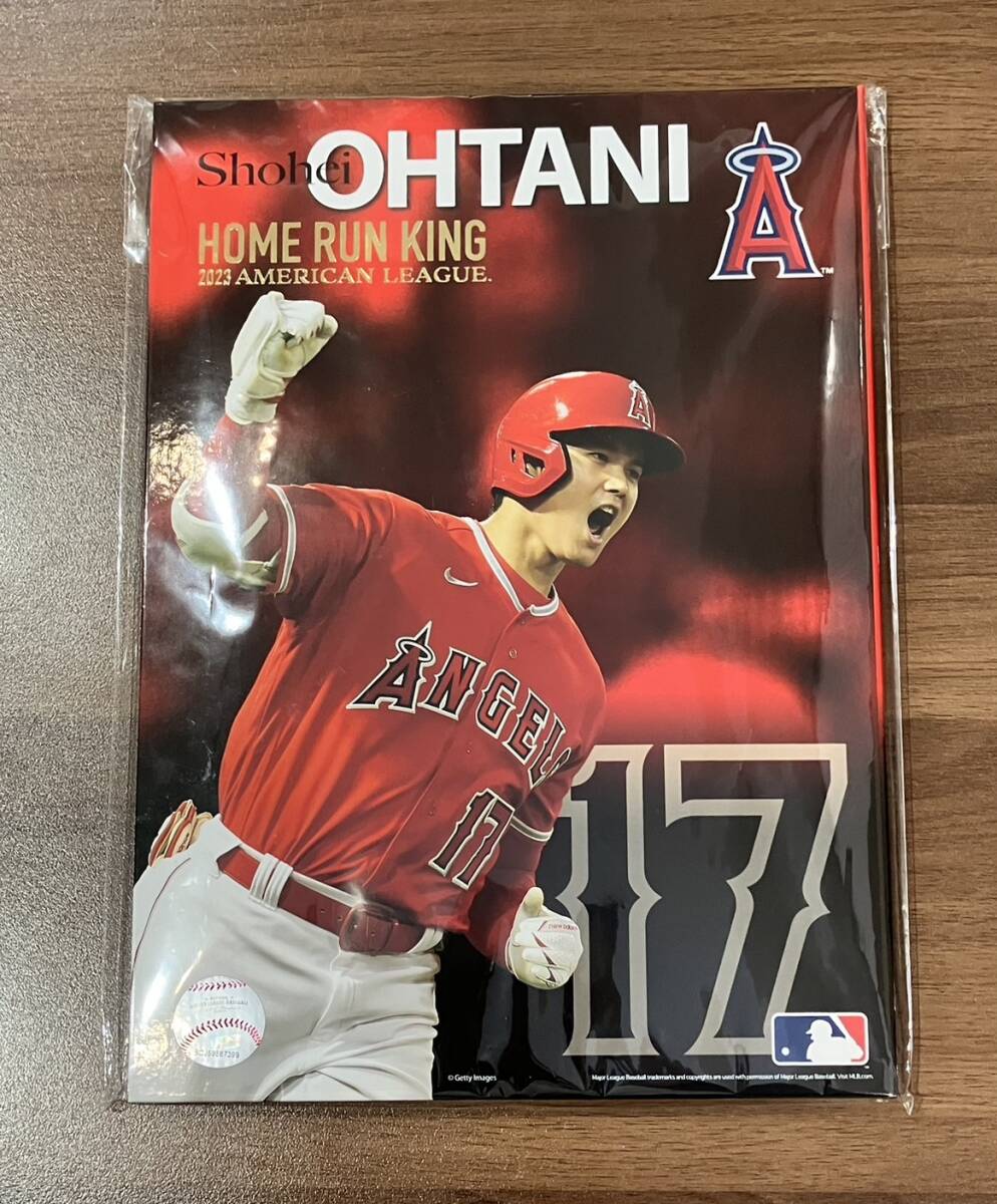 大谷翔平2023 AL ホームラン王獲得記念プレミアムフレームセット 大谷翔平2023 AL ホームラン王獲得記念プレミアムフレームセット
