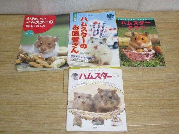  hamster breeding 4 pcs. set # hamster Club + hamster. .. person san + lovely hamster. .. person *.. person another 