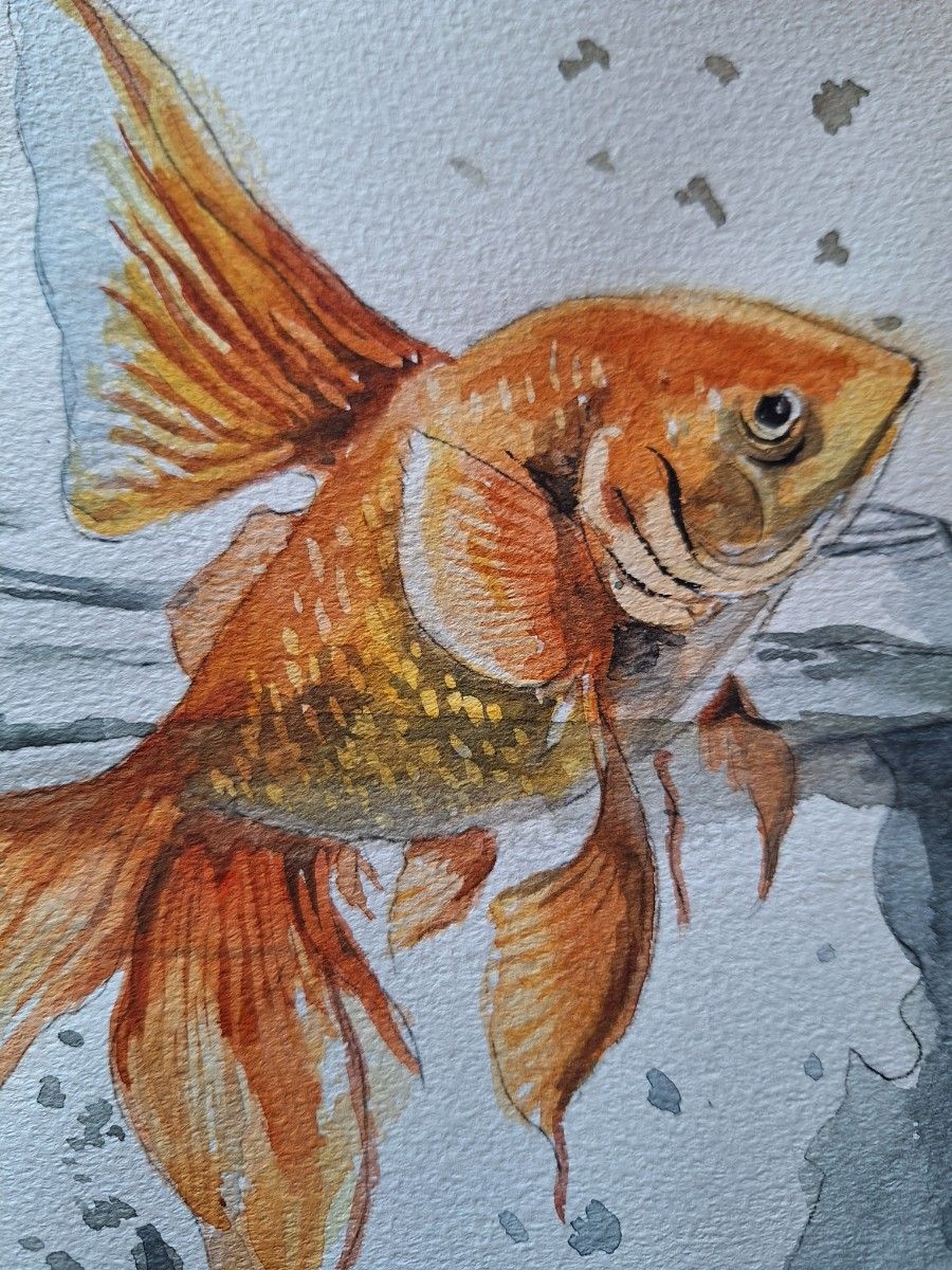 池や沼の生きもの 水彩画 水彩画 跳ねる金魚|Yahoo!フリマ(旧PayPayフリマ)