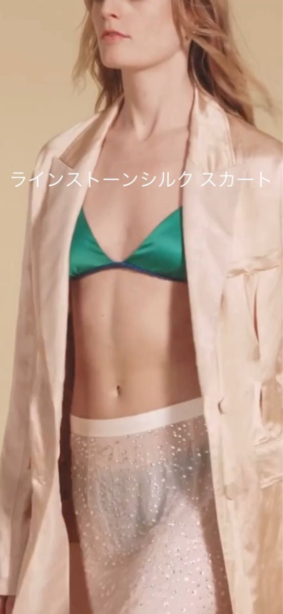 ラインストーンシルク スカート LIMITED EDITION