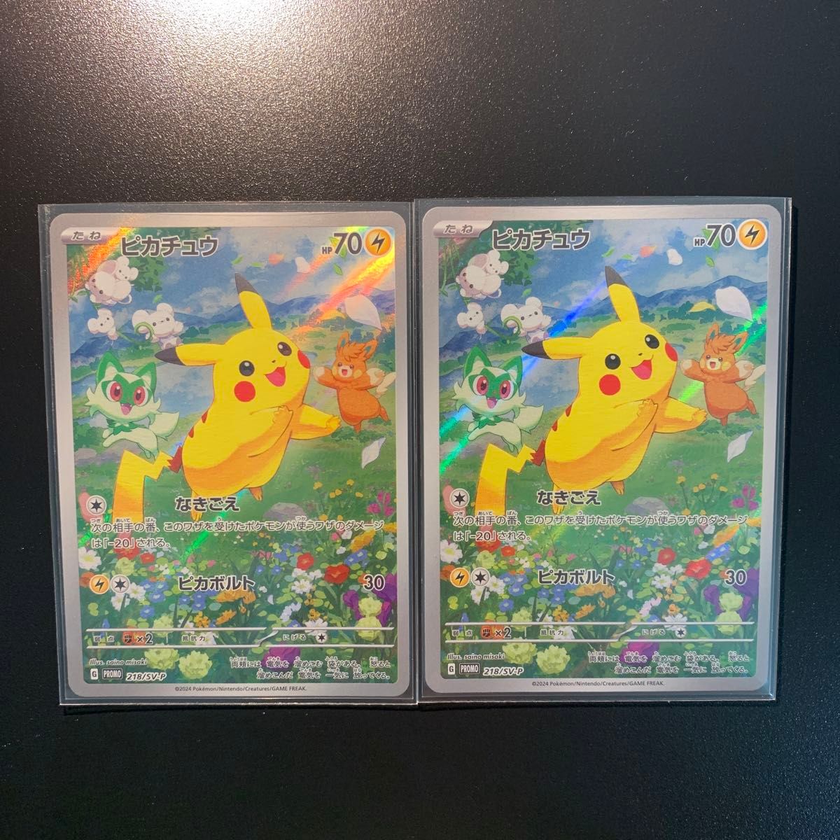 ポケカの夏がキタ プロモゲットキャンペーン 2024 プロモ ポケカの夏がキタ プロモゲットキャンペーン 2024 プロモ