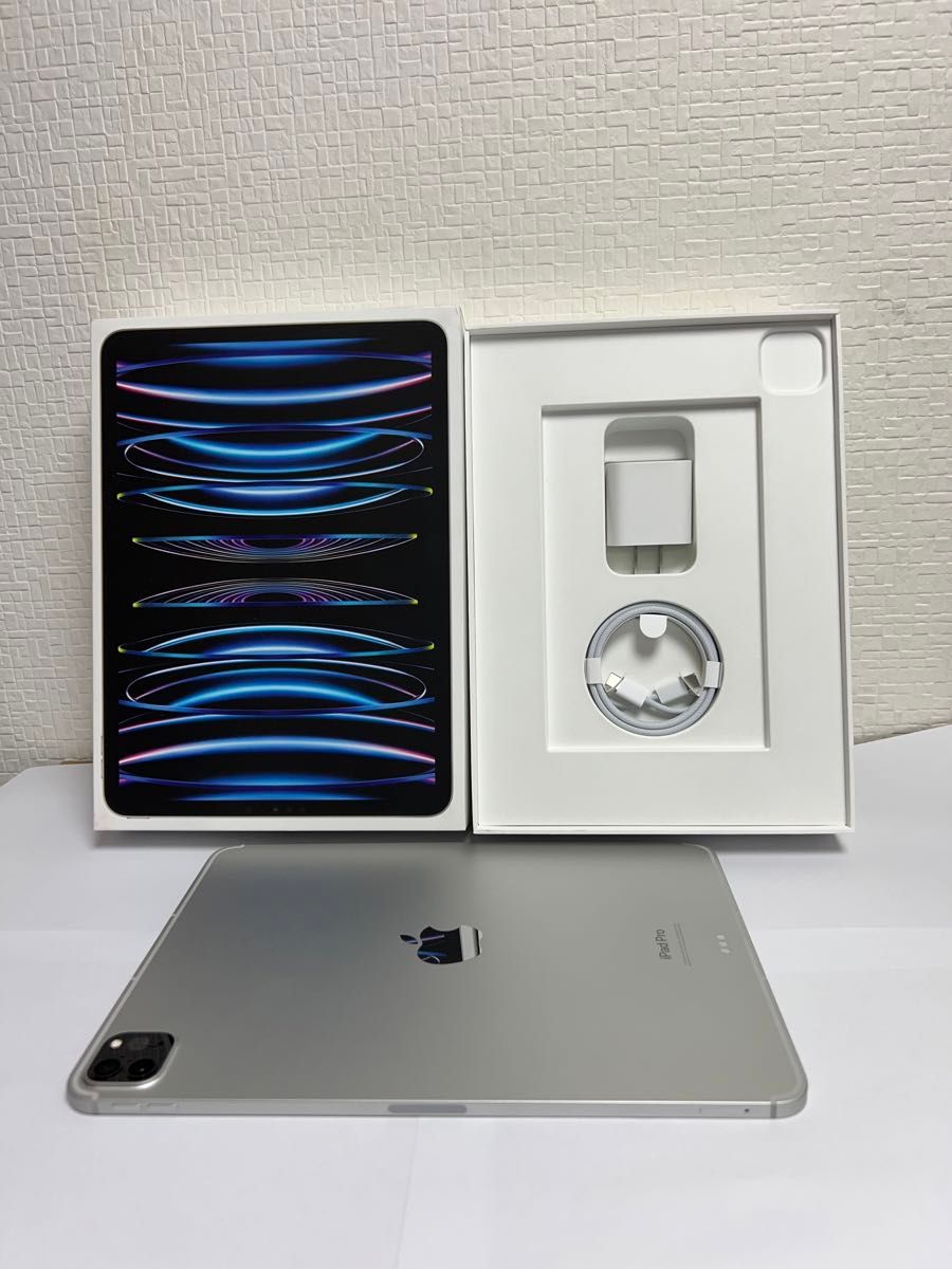 Apple 国内版 【SIMフリー】 iPad Pro 11インチ(第4世代 Apple 国内版 【SIMフリー】 iPad Pro 11インチ(第4世代