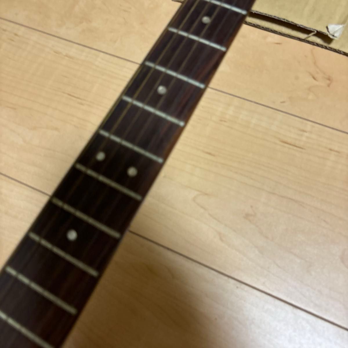 激レア roje アコースティックギター ハミングバードタイプ 激レア roje アコースティックギター ハミングバードタイプ