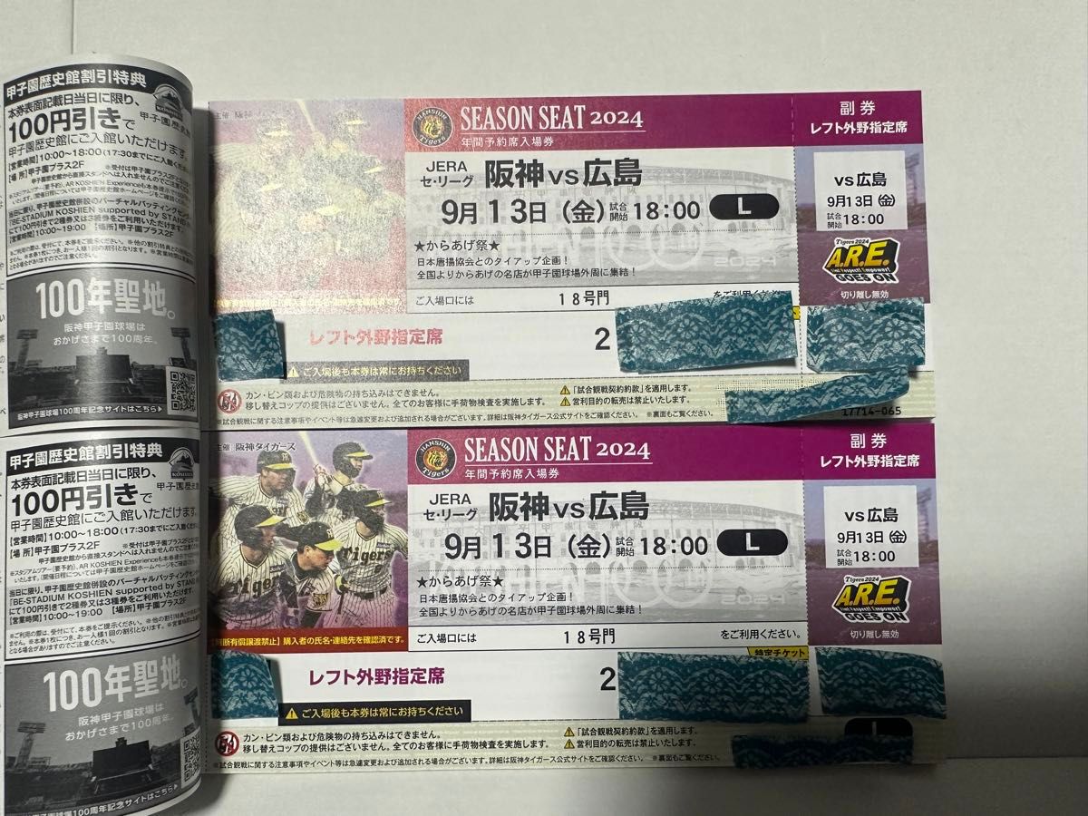 2024/9/13(金) 阪神vs広島 阪神甲子園球場 レフト外野指定席 2024/9/13(金) 阪神vs広島 阪神甲子園球場 レフト外野指定席