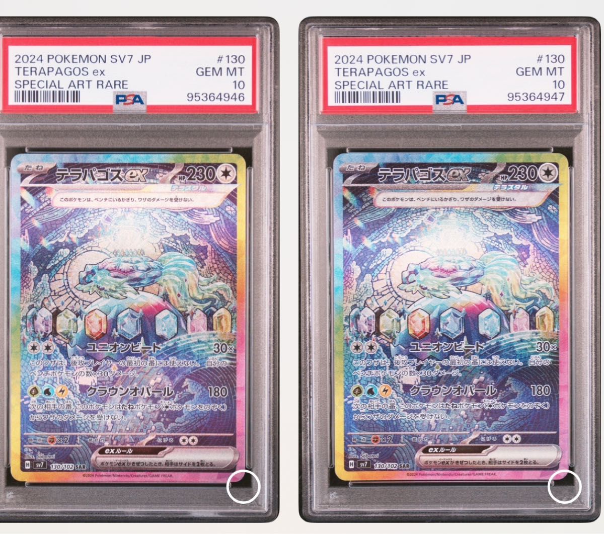PSA10 連番】テラパゴスex sar|Yahoo!フリマ(旧PayPayフリマ) PSA10 連番】テラパゴスex sar|Yahoo!フリマ(旧PayPayフリマ)