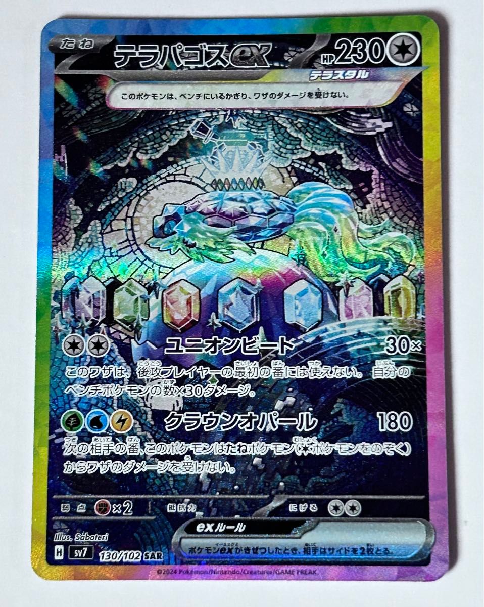 ポケモンカード テラパゴスex SAR 拡張パック ステラミラクル ポケモンカード テラパゴスex SAR 拡張パック ステラミラクル