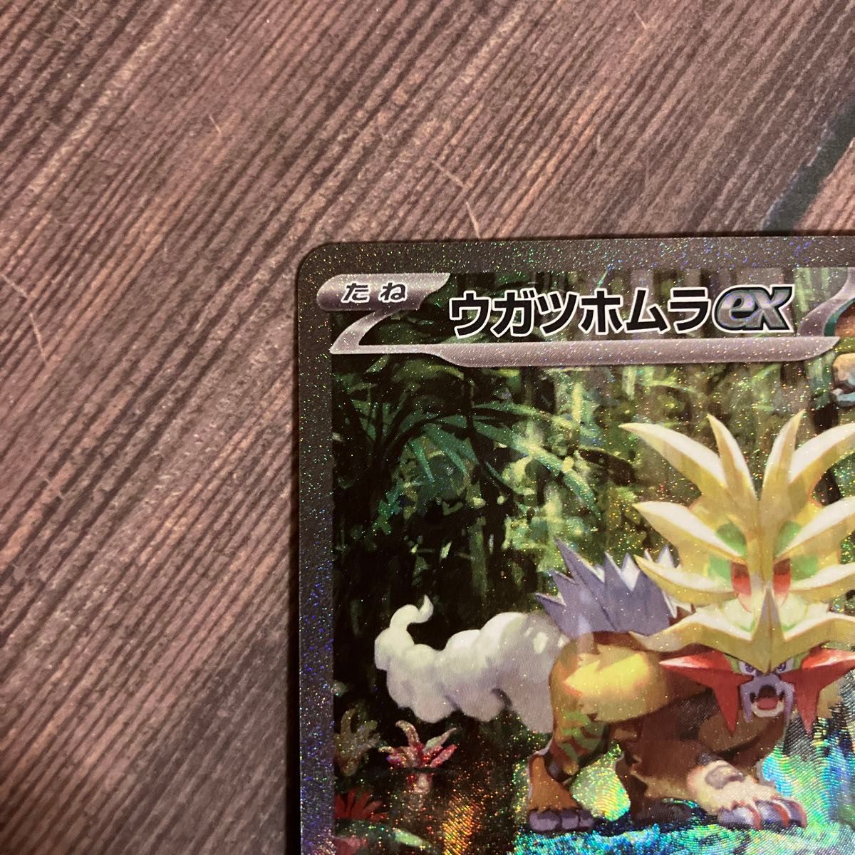 ウガツホムラex SAR SV5K 093/071 ポケモンカード ポケカ 古代 ウガツホムラex SAR SV5K 093/071 ポケモンカード ポケカ 古代