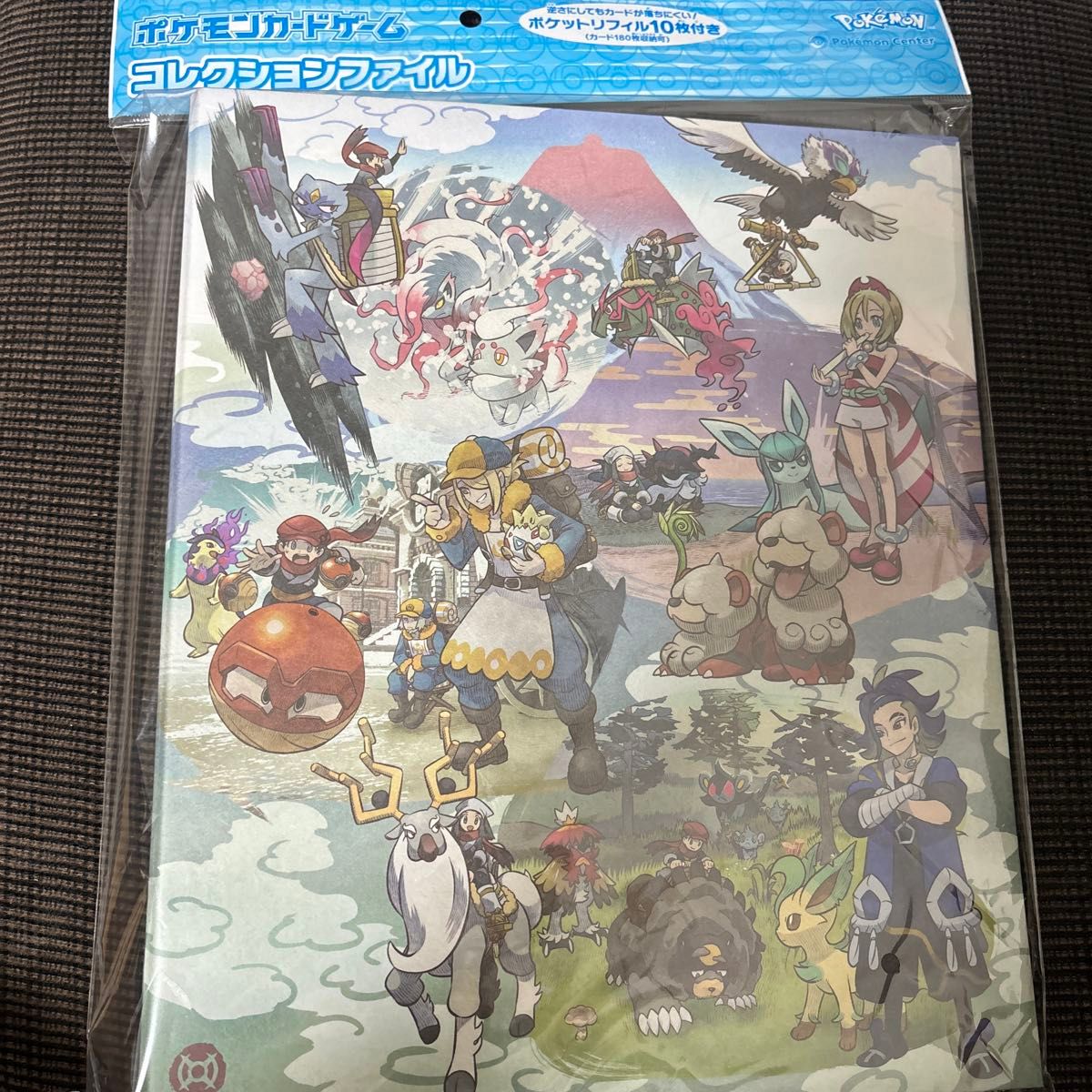 ポケモンセンターオリジナル ポケモンカードゲーム コレクション ポケモンセンターオリジナル ポケモンカードゲーム コレクション