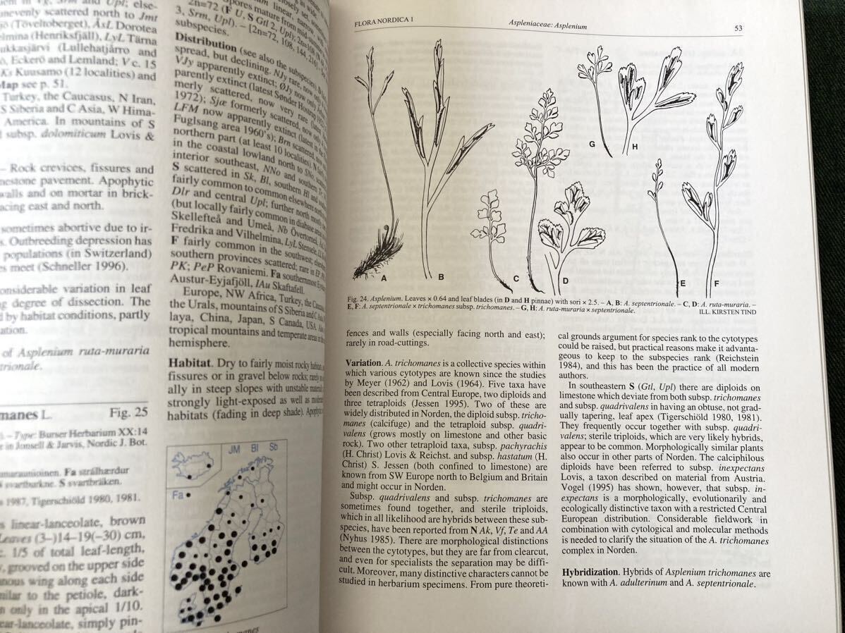 2冊セット】稀少 北欧の植物事典 1&2 図鑑 ボタニカルアート 大型本 2冊セット】稀少 北欧の植物事典 1&2 図鑑 ボタニカルアート 大型本