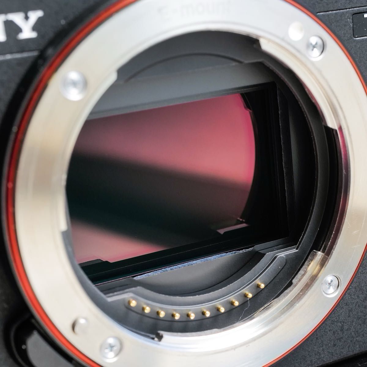 SONY ソニー フルサイズ ミラーレス一眼カメラ α7CII ボディ SONY ソニー フルサイズ ミラーレス一眼カメラ α7CII ボディ