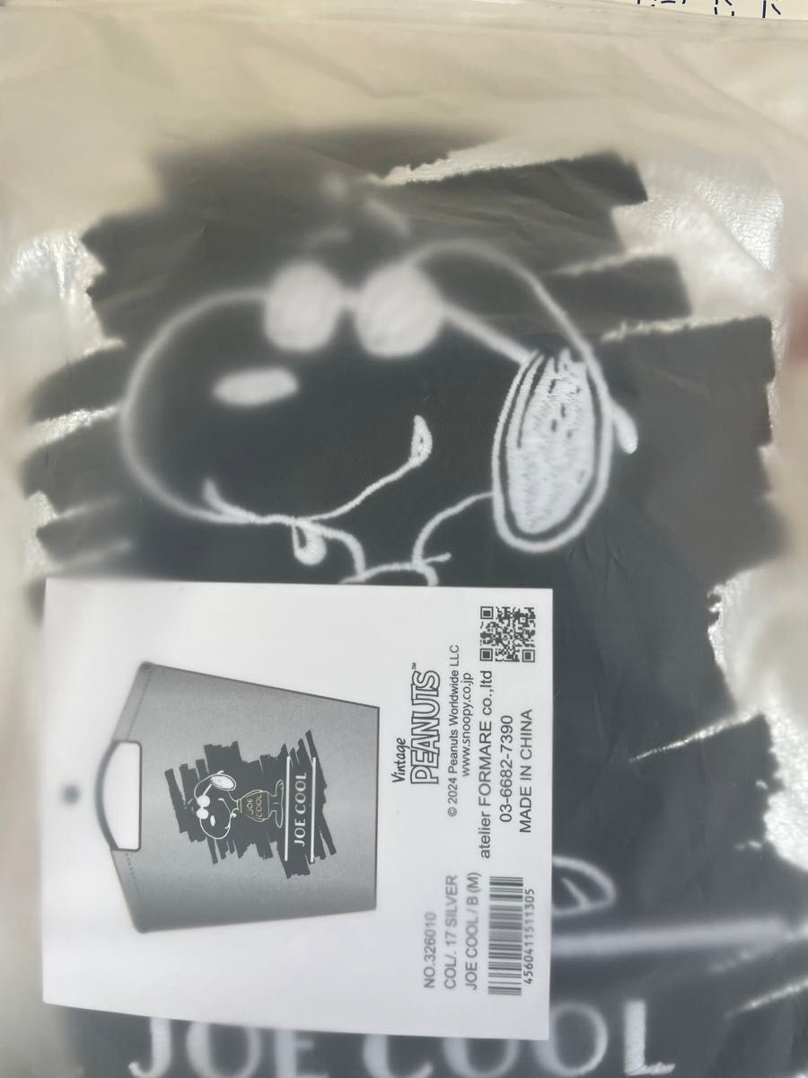ball&Chain ボールアンドチェーン 名古屋限定シルバー Peanuts ball&Chain ボールアンドチェーン 名古屋限定シルバー Peanuts