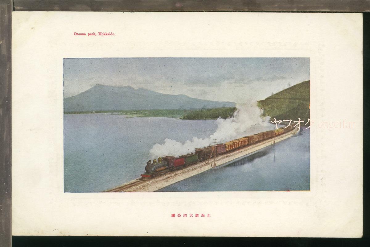 完璧 絵葉書21400┃大沼公園┃鉄道 カラー 北海道 SL 蒸気機関車 その他