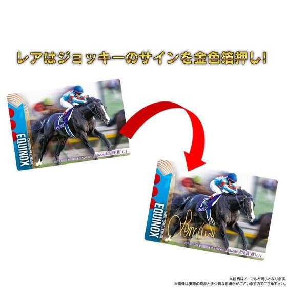 サラブレッドホースコレクション ツインウエハース カード 4BOX サラブレッドホースコレクション ツインウエハース カード 4BOX