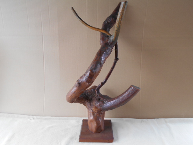 * driftwood ( objet d'art * art * hand made *DIY) M9023..