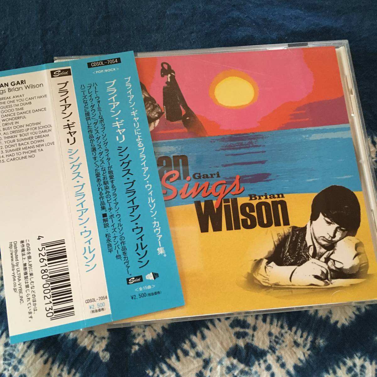 即《日本盤CD》ブライアン・ギャリ『シングス・ブライアン・ウィルソン』～ビーチ・ボーイズ/beach boys/Brian wilson/松永良平_画像1