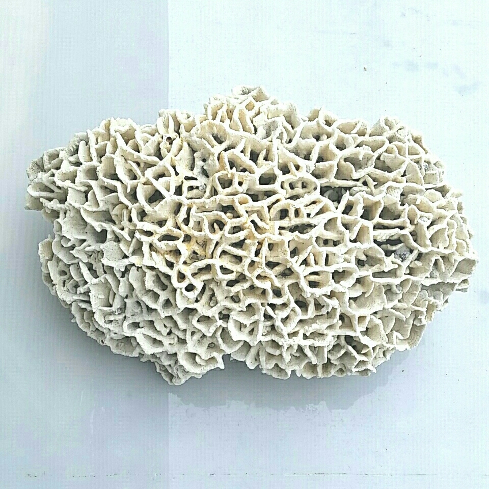 2【珊瑚】大型☆飾り サンゴ礁 置物☆白 海水魚 水槽 レイアウト