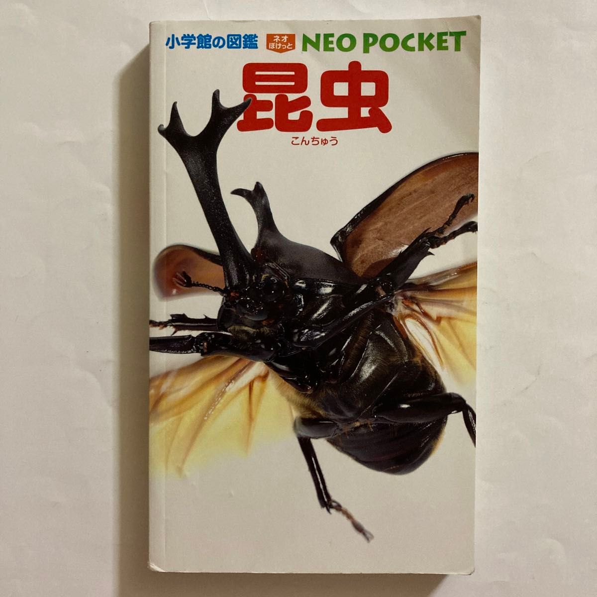 小学館の図鑑 ネオぽけっと 昆虫|Yahoo!フリマ(旧PayPayフリマ) 小学館の図鑑 ネオぽけっと 昆虫|Yahoo!フリマ(旧PayPayフリマ)