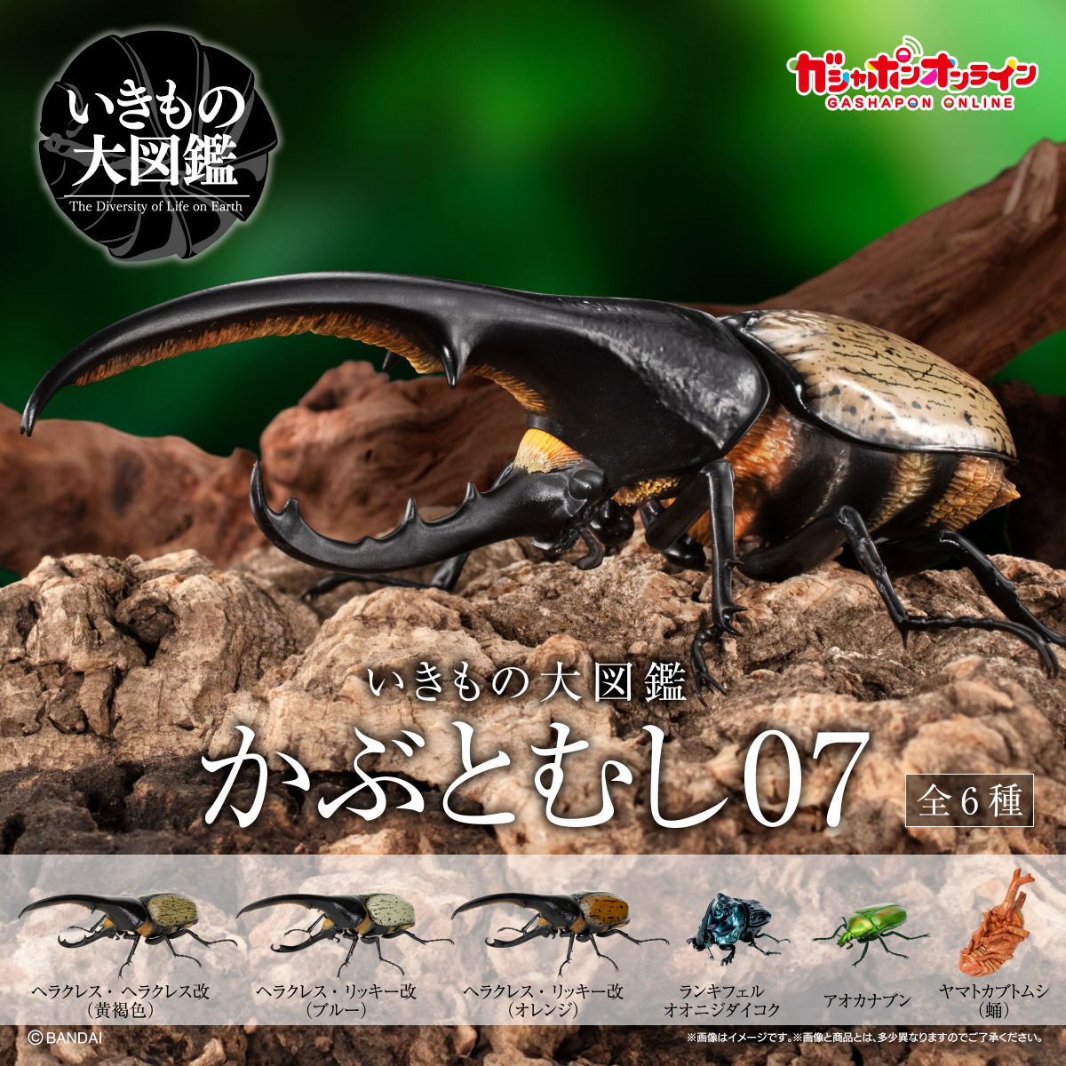 ヤマトカブトムシ 蛹 ガシャポンオンライン版 単品 .いきもの大 ヤマトカブトムシ 蛹 ガシャポンオンライン版 単品 .いきもの大