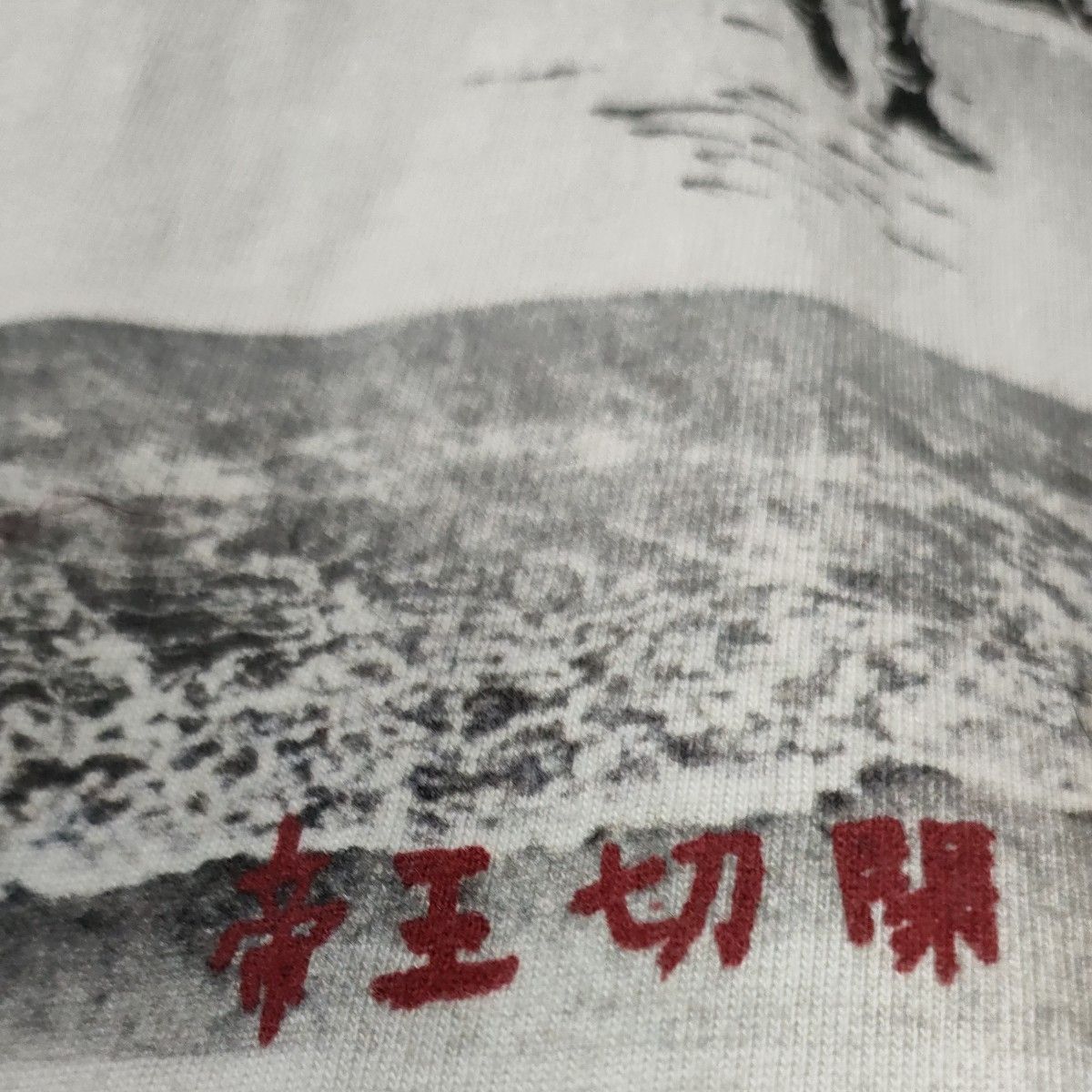 浅田弘幸To-yTシャツS/M【BOOTLEG海賊版GASP】白 帝王切開 浅田弘幸To-yTシャツS/M【BOOTLEG海賊版GASP】白 帝王切開