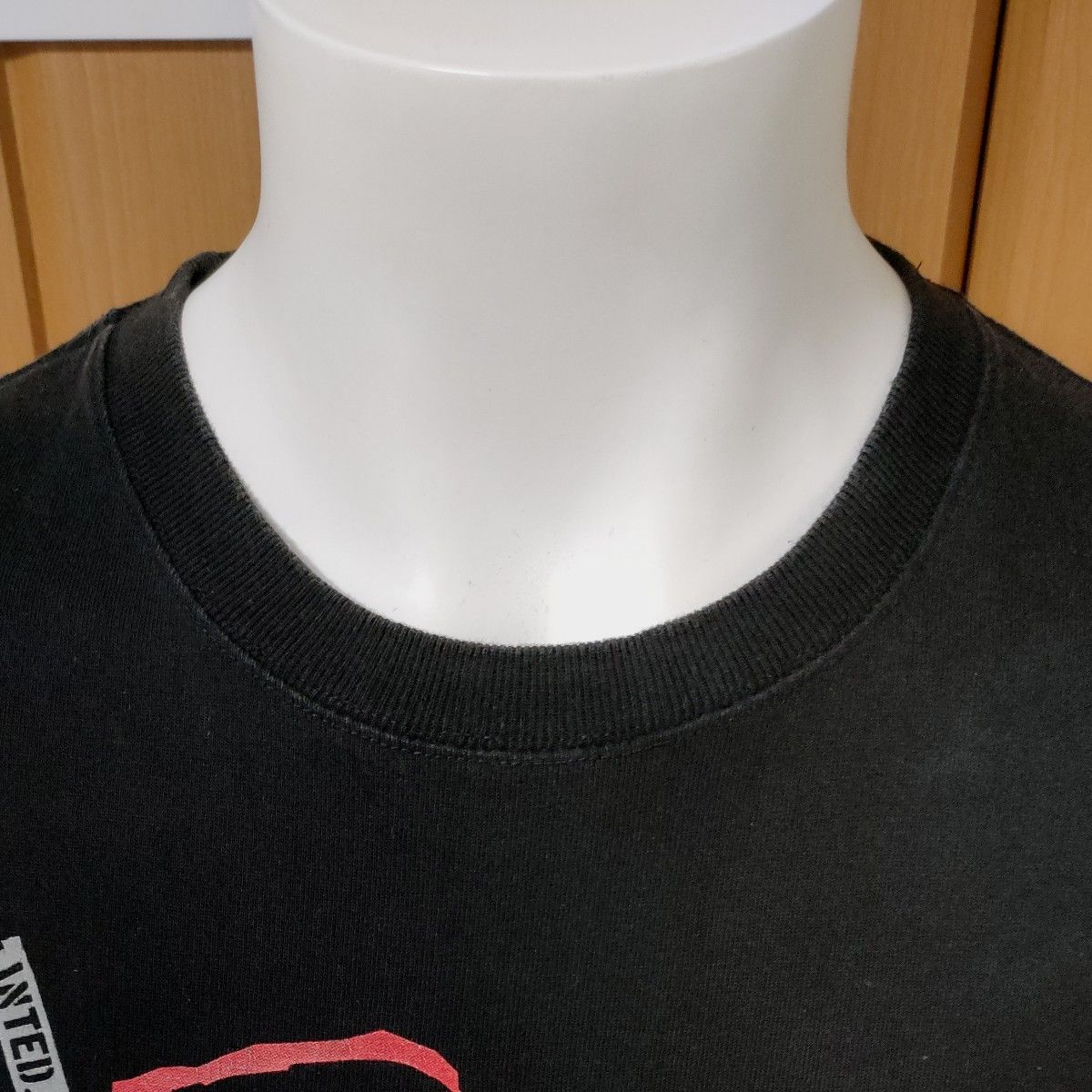Acid Black Cherry TシャツS/M 『L』2015アリーナツアー Acid Black Cherry TシャツS/M 『L』2015アリーナツアー