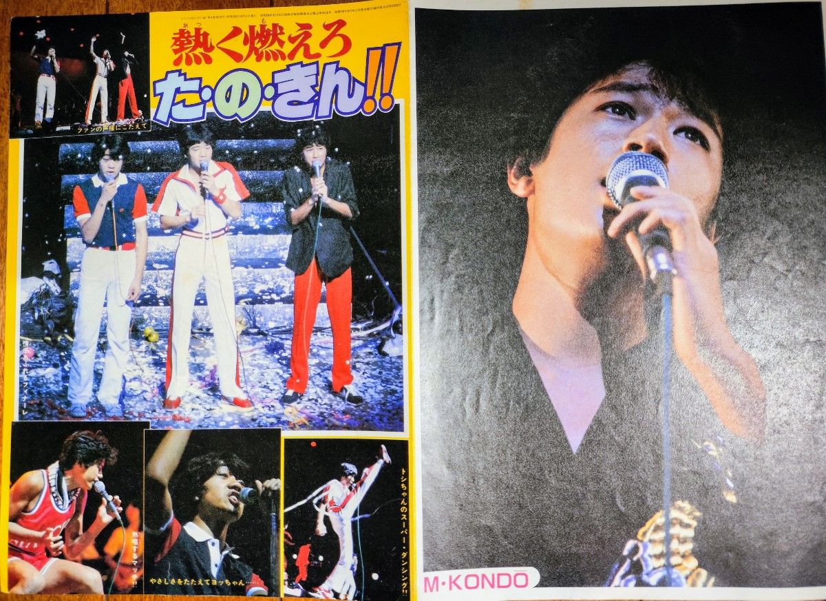 ひとみ 1980年12月号付録 伯爵令嬢ポスター 細川智栄子 細川 ひとみ 1980年12月号付録 伯爵令嬢ポスター 細川智栄子 細川