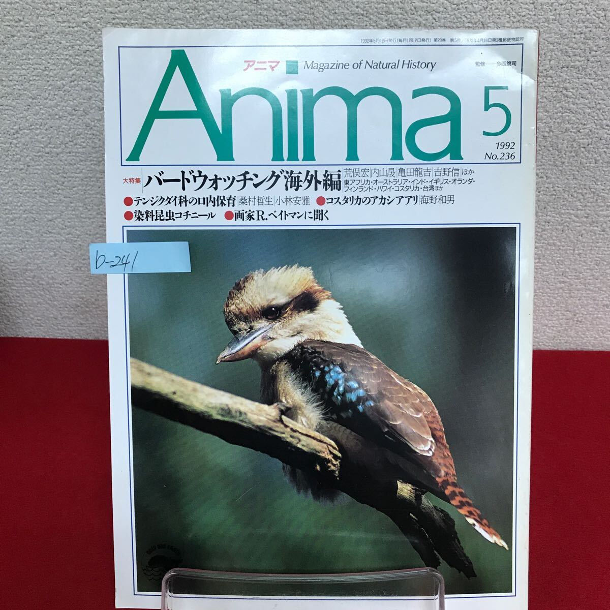 b-241 ※9 Anima 1992年5月号 No.236 バードウォッチング海外編 テンジクダイの口内保育 染料昆虫コチニール