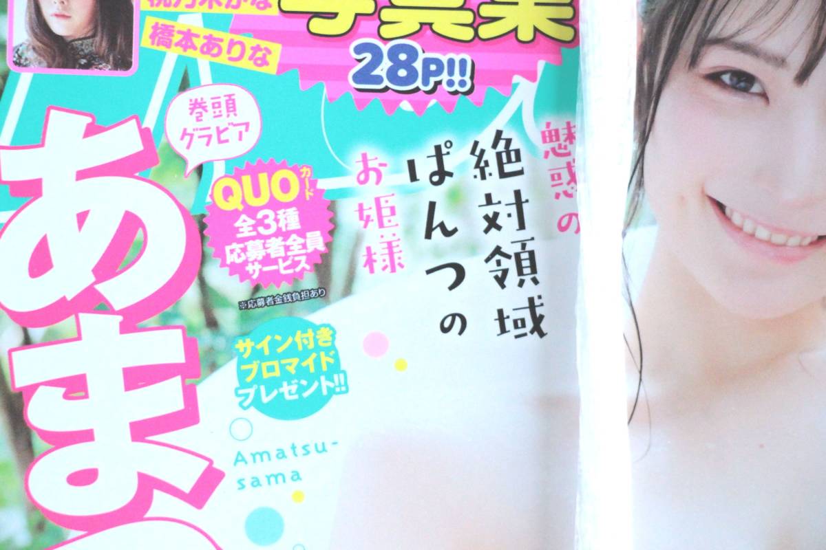 ヤングチャンピオン烈 あまつ様 三上悠亜 桃乃木かな 橋本ありな 高橋しょう子 2019年9月号/新品 未開封 未読品 別冊ふろく 袋とじ_画像6