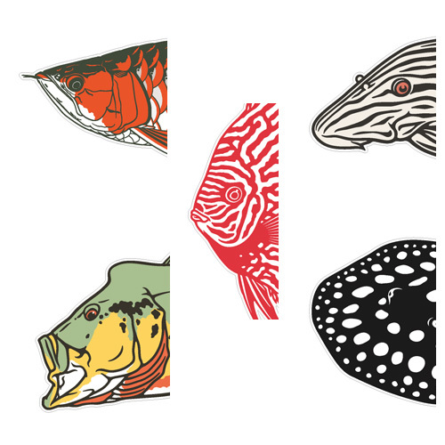  fish sticker Plecostomus,ei, discus,pi- cook bus 