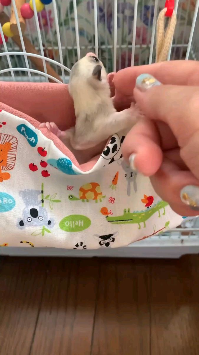 ももんがポーチ