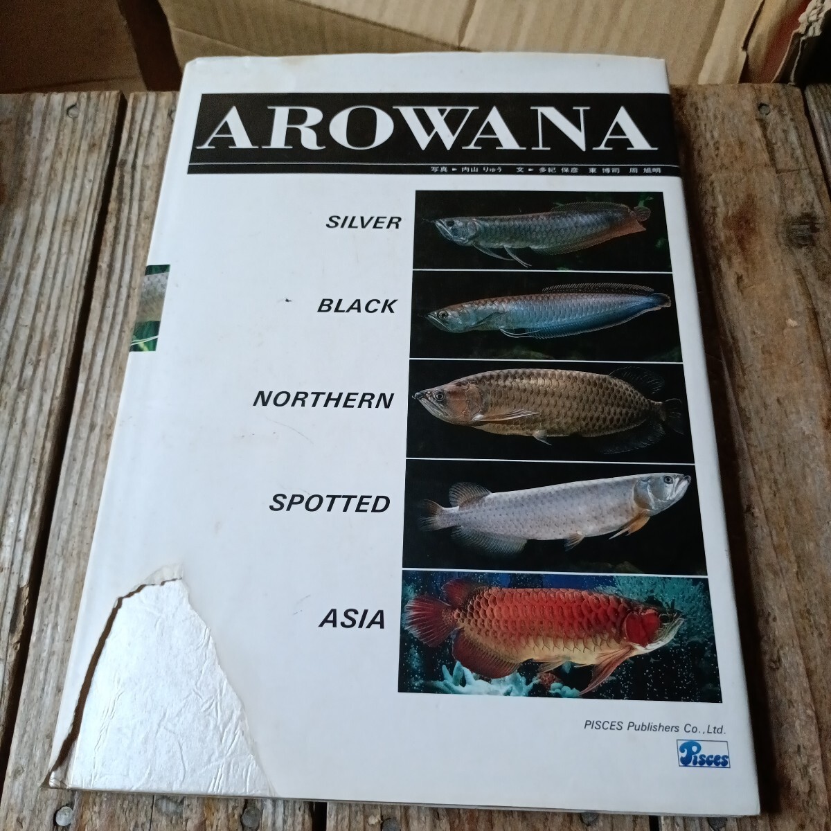 *AROWANA аравановые книга@ внутри гора ...*