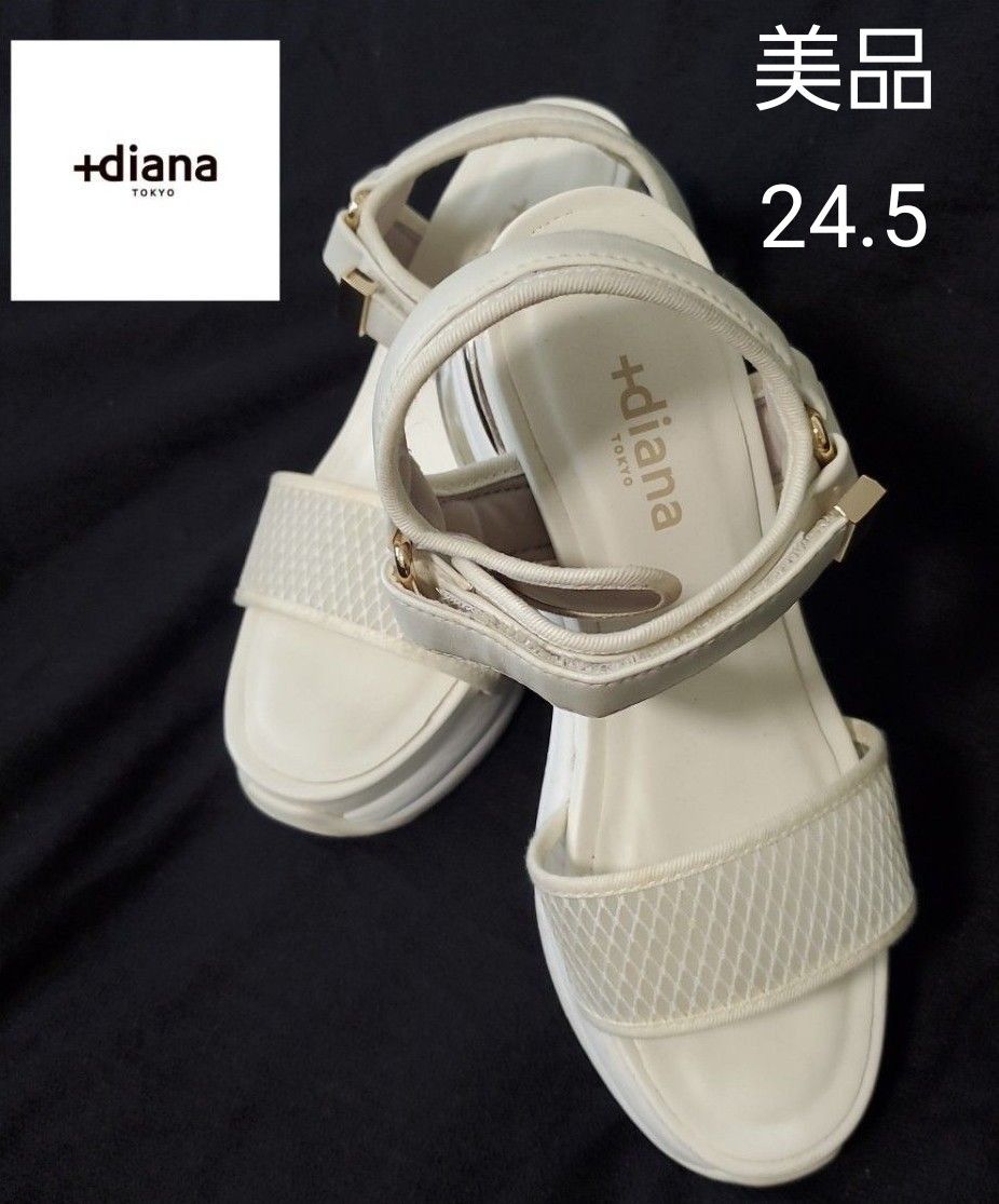 daiana プラスダイアナ メッシュ エアクッション スポーツ daiana プラスダイアナ メッシュ エアクッション スポーツ