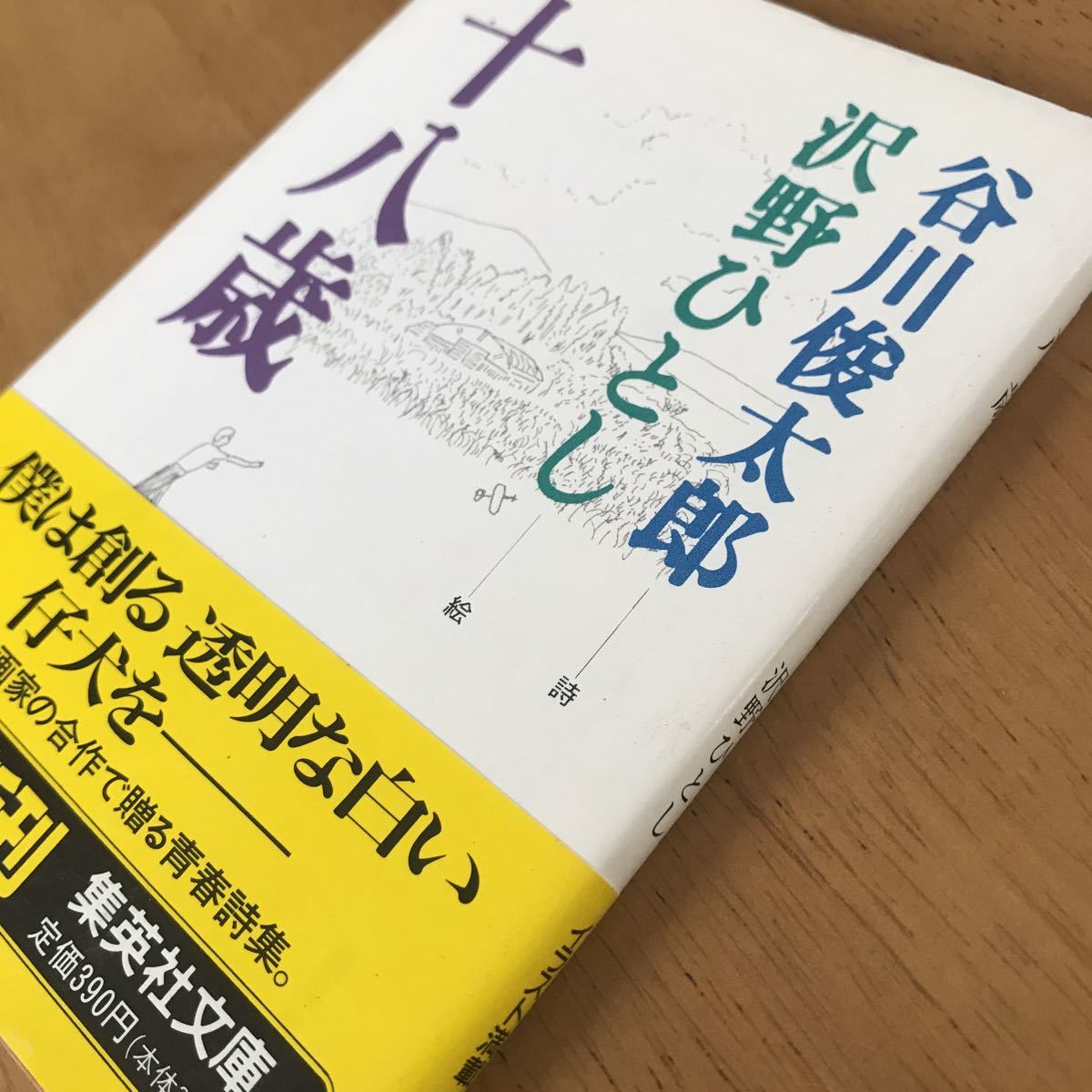 谷川俊太郎「十八歳」集英社文庫 初版の画像3