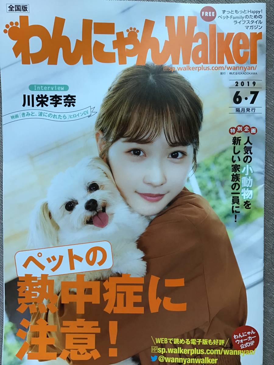 川栄李奈 ★わんにゃんWalker 2019/6・7月号(全28ページ) ★ A4サイズ ★新品・非売品_画像1