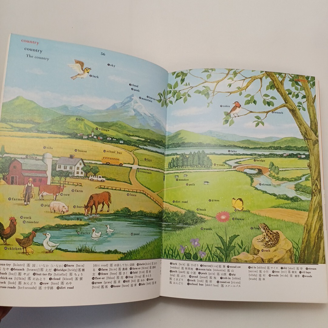 zaa-605 みんなの英語 絵辞典OUR PICTURE DICTIONARY 鳥居次好 zaa-605 みんなの英語 絵辞典OUR PICTURE DICTIONARY 鳥居次好