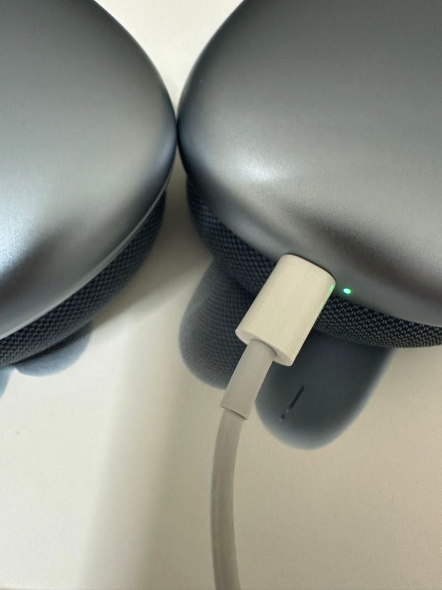 AirPods MAX スカイブルー|Yahoo!フリマ(旧PayPayフリマ) AirPods MAX スカイブルー|Yahoo!フリマ(旧PayPayフリマ)