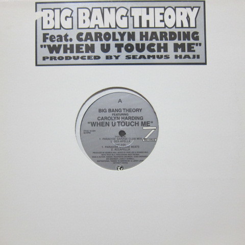 Big Bang Theory Feat. Carolyn Harding / When U Touch Me_画像1