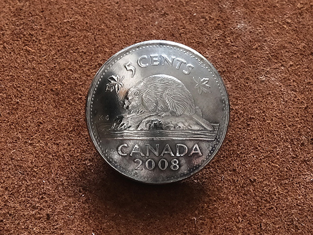 カナダ 5セント コインコンチョ 20mm ヘアゴムブレスレット（ビーバー）：ループ 古銭 小銭 硬貨 バングル アンクレット メンズ レディース_画像2