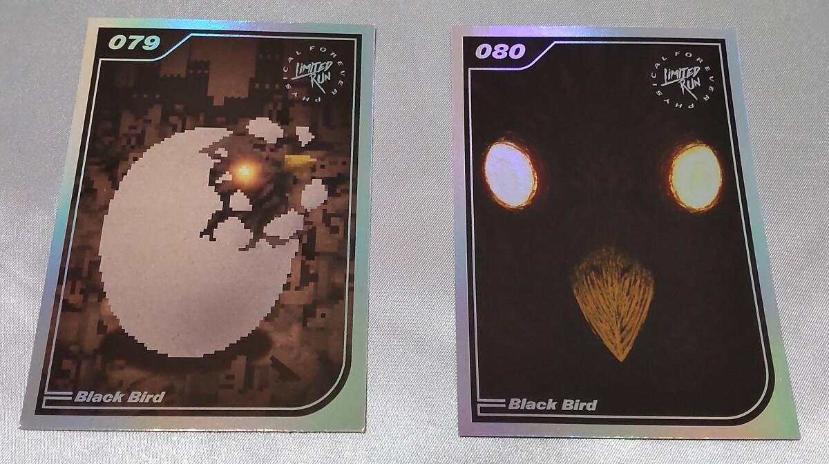 BLACK BIRD ブラックバード【北米豪華版】シューティング Switch BLACK BIRD ブラックバード【北米豪華版】シューティング Switch