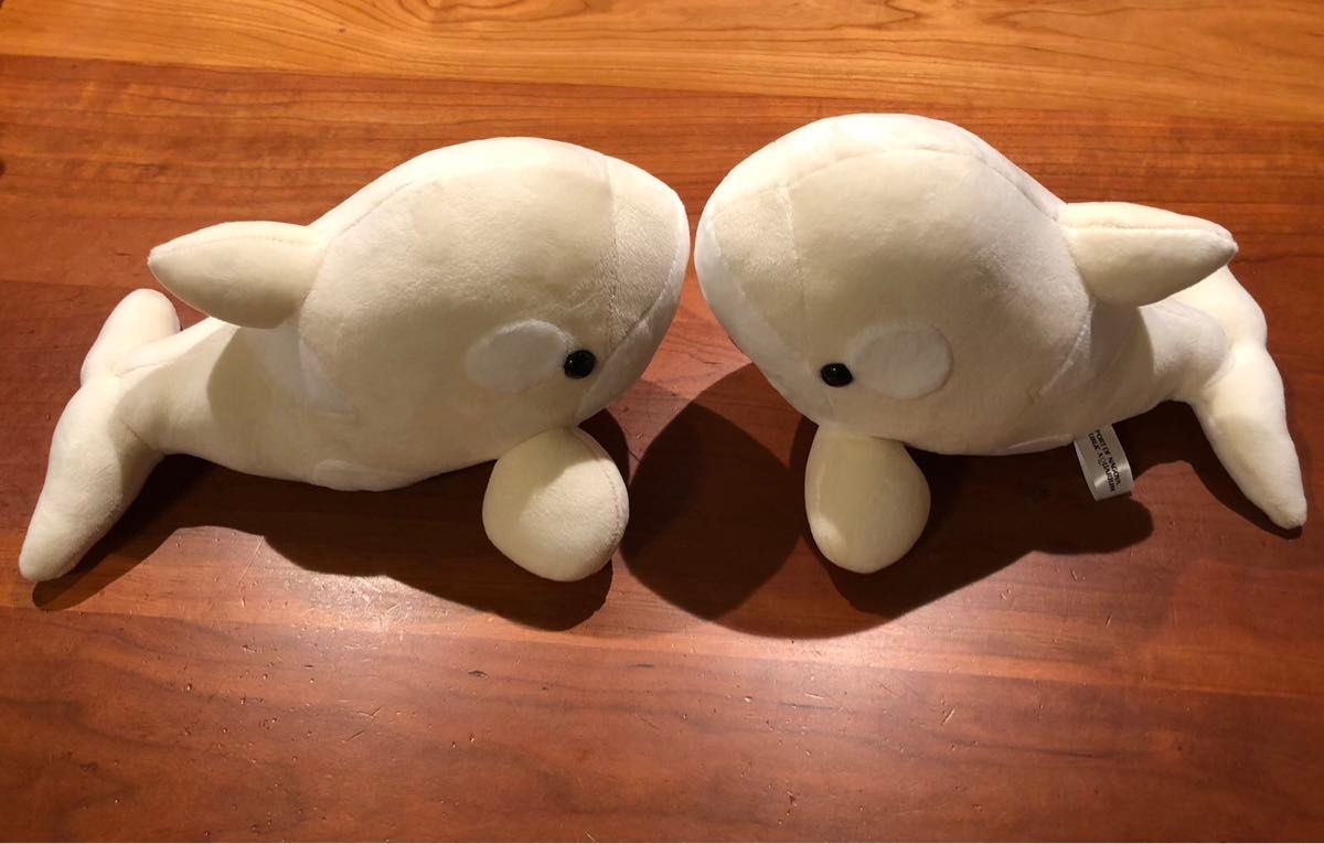 名古屋港水族館オリジナル ぬいぐるみくじ 3等 白シャチ 2匹 名古屋港水族館オリジナル ぬいぐるみくじ 3等 白シャチ 2匹