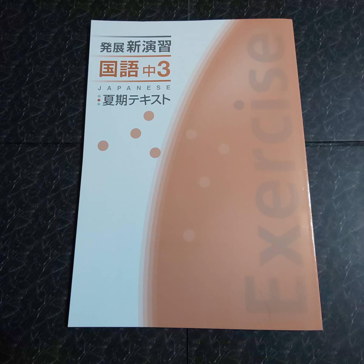 発展 新演習 国語 中学3年 夏期テキスト 塾専用教材(中学校)|売買され