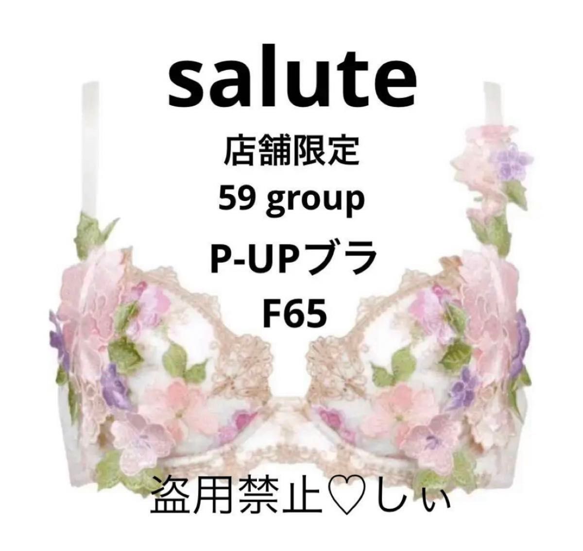 新品タグ付 Salute サルート 店舗限定 59G P-UPブラ F65 IV 新品タグ付 Salute サルート 店舗限定 59G P-UPブラ F65 IV