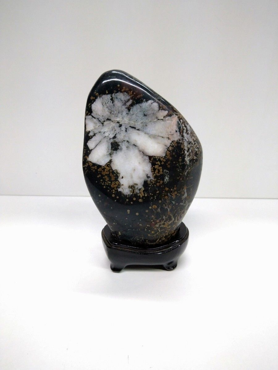 菊花石 水石 盆石 観賞用 綺麗な菊花石 床飾 重さ約7kg|花、園芸 菊花石 水石 盆石 観賞用 綺麗な菊花石 床飾 重さ約7kg|花、園芸